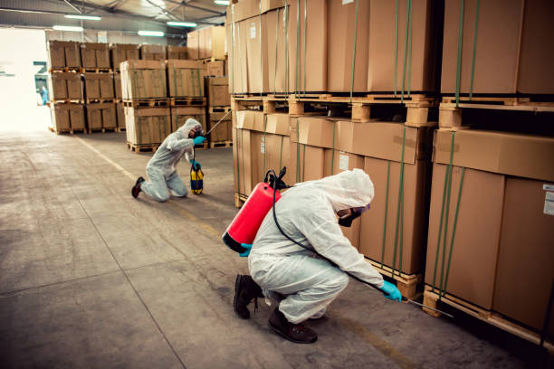 Best Bed Bug Extermination  in St Croix Falls, WI