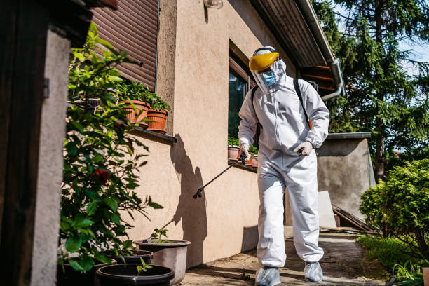 Best Best Pest Control Companies  in St Croix Falls, WI