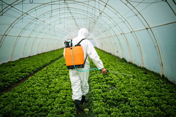Pest Control for Restaurants in St Croix Falls, WI