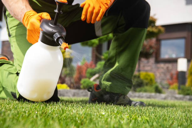 Best Termite Control Services  in St Croix Falls, WI