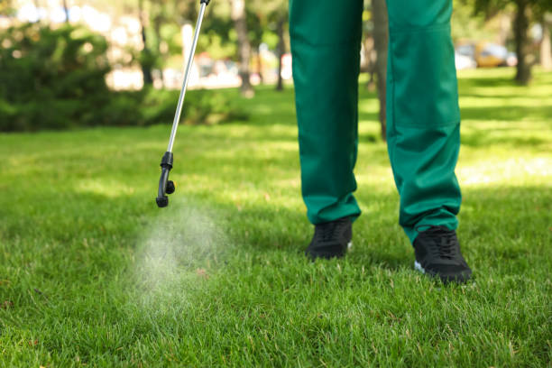 Best Pest Prevention Services  in St Croix Falls, WI