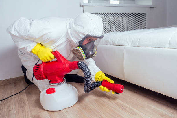 Best Bed Bug Extermination  in St Croix Falls, WI