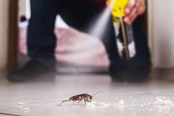 Best Residential Pest Control  in St Croix Falls, WI