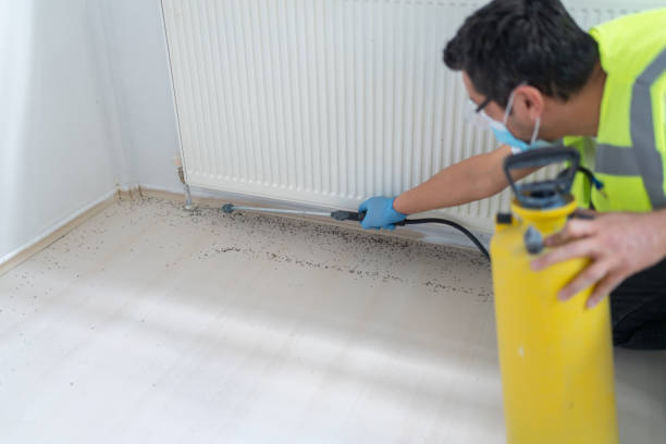 Best Pest Removal Services  in St Croix Falls, WI