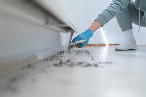 Wildlife Control Services in St Croix Falls, WI