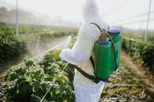  St Croix Falls, WI Pest Control Pros